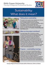 Sustainability: What does it mean?